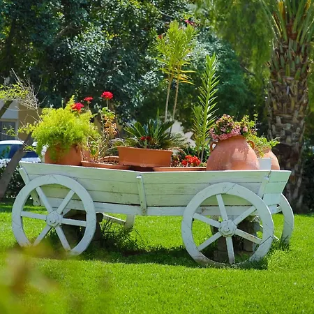 One Bedroom In Caesar & Spa, Long 公寓 *