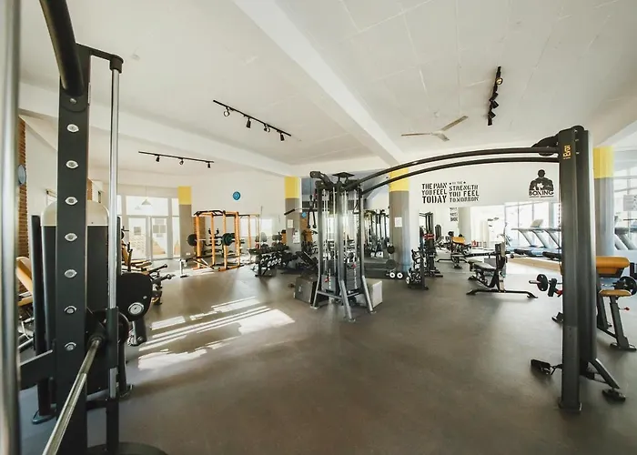 One Bedroom In Caesar & Spa, Long Apartment *