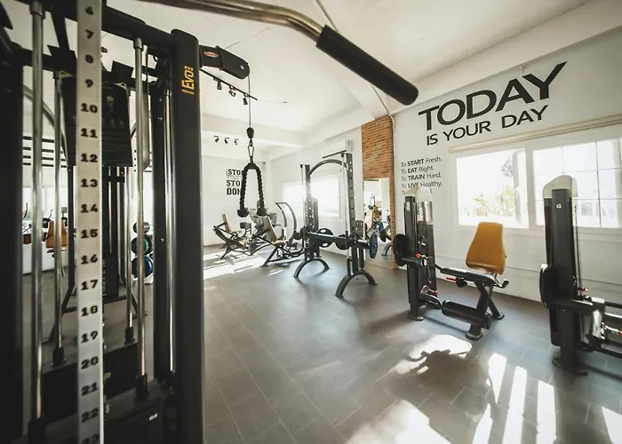 One Bedroom In Caesar & Spa, Long Apartment *