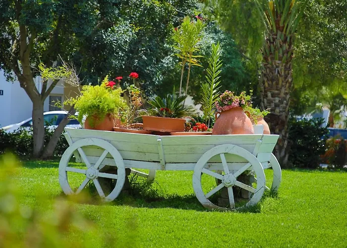 One Bedroom In Caesar & Spa, Long Apartment *