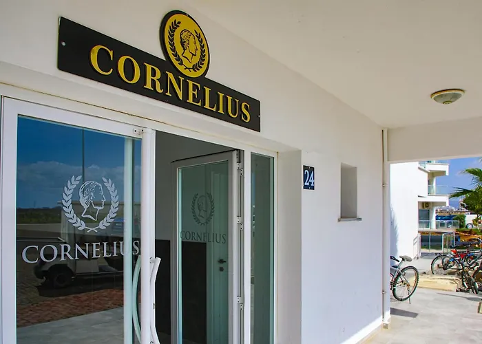 One Bedroom In Caesar & Spa, Long Apartment