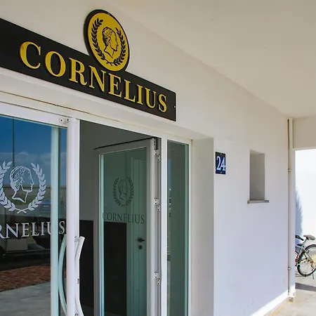 One Bedroom In Caesar & Spa, Long Apartamento